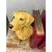 Sandicast Golden Retriever Bookends Hand-Cast Hand Painted NEW