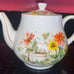 Tea pot and cups set