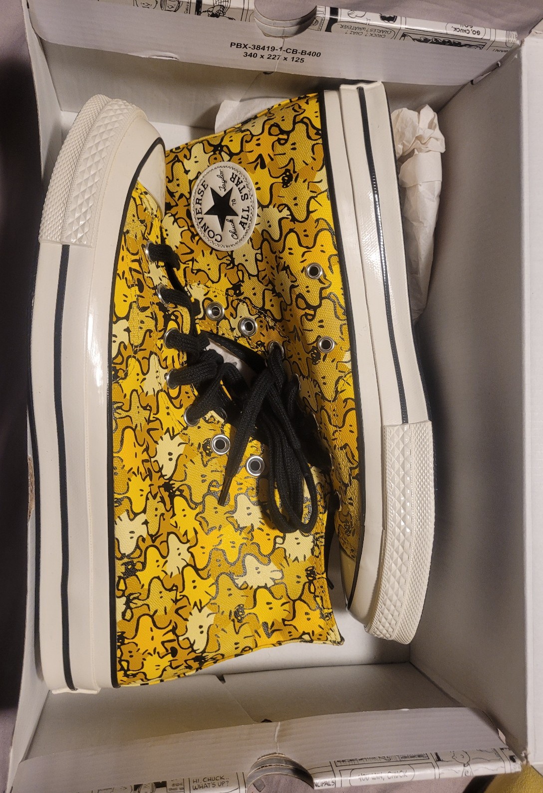 Converse x Peanuts Chuck Taylor 70 Hi Woodstock