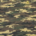 Excellent Condition Buzz Rickson's Camouflage Polo Shirt, Size L