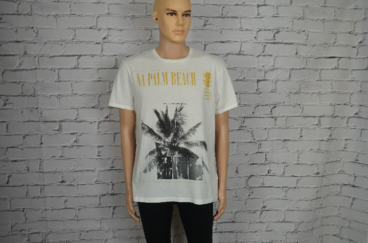 Mens All Saints Beach SS Crew graphic tee t-shirt