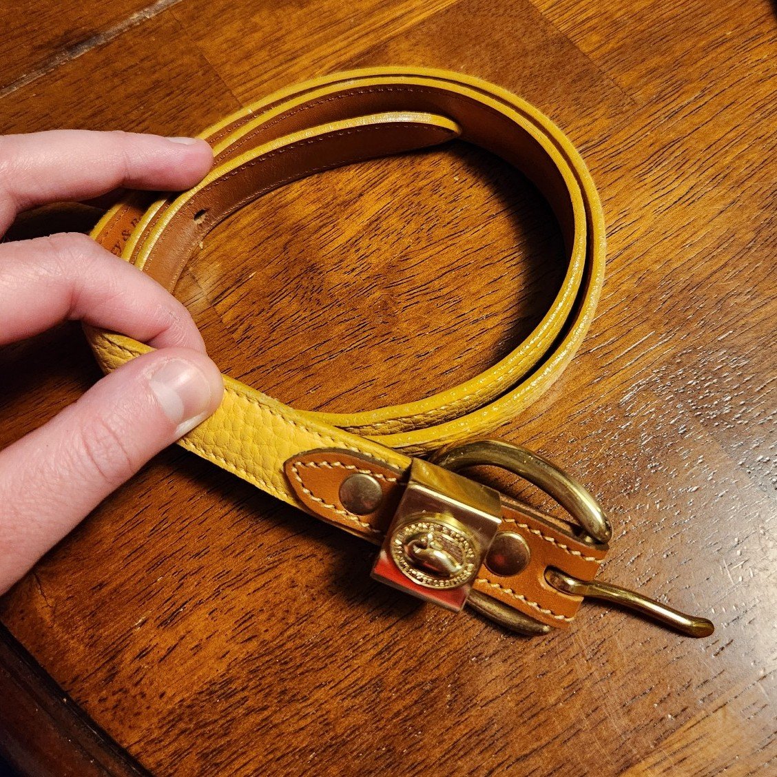 Dooney and Bourke belt