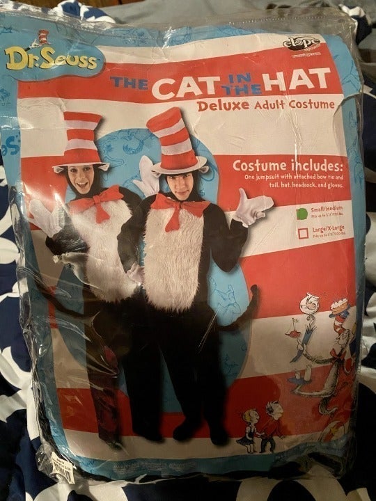 Cat in the Hat (Dr. Seuss) Family Halloween Costumes