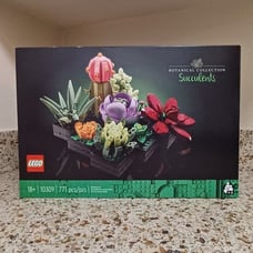Botanical Collection - Succulents