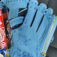 rawlings heart of the hide