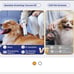 Dog Grooming Kit with Pet Grooming Vacuum