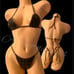Exotic Dancewear