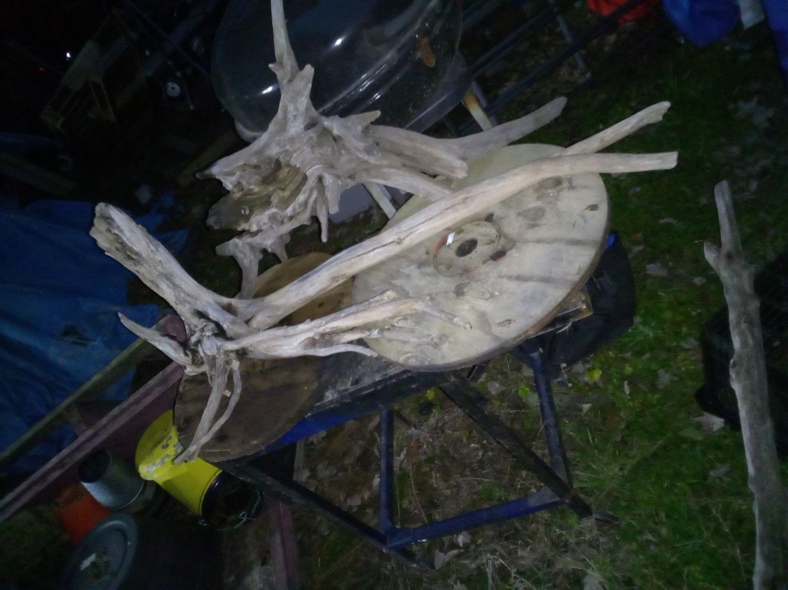 Driftwood