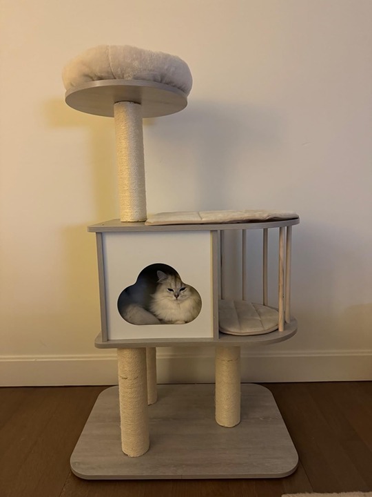 Tangkula 46 Modern Wood Cat Tree, Light Grey