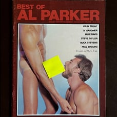 Vintage Gay! BEST OF AL PARKER 1970s BUCK STEVENS Mike Davis TY GARDNER Action