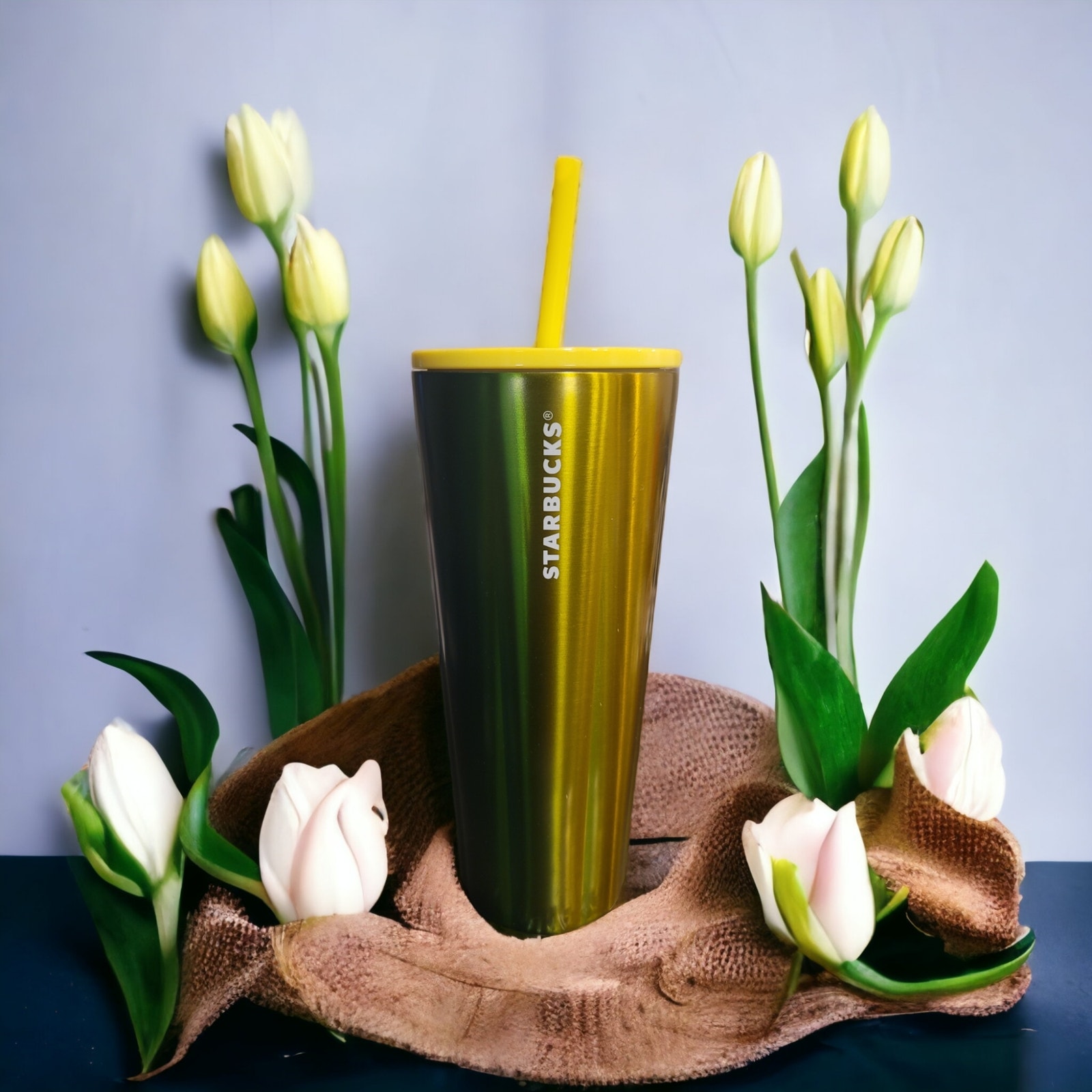 Starbucks Green Ombre Gradient Stainless Steel Tumbler