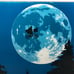 E.T. Glass Cutting Board Large E.A.T. 16 x 12