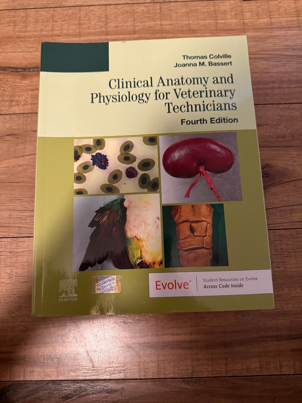 Clinical anatomy and Physiology for veterinary Technicians