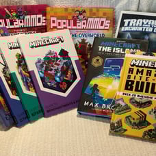 Lot of 9 Minecraft Books - Survival, island, Dan TDM, Popular MMOs, Bite Sz Buil