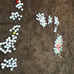 Golf balls lot of 211