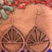 Bright colored beaded fringe earrings