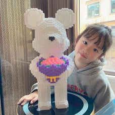 Plush 3D Jigsawpuzzle，Best Gift for special day