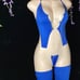 Exotic dancewear outfit stripper outfit