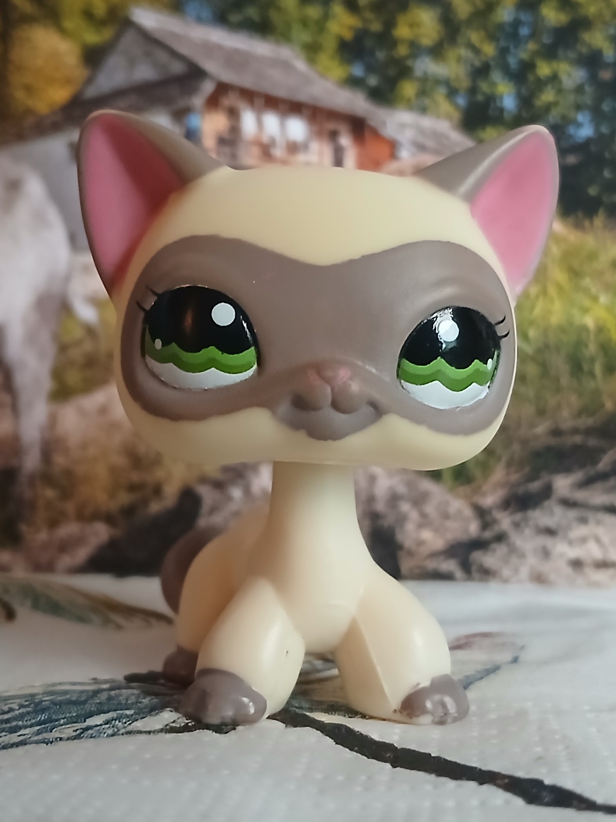LPS Shorthair 1116
