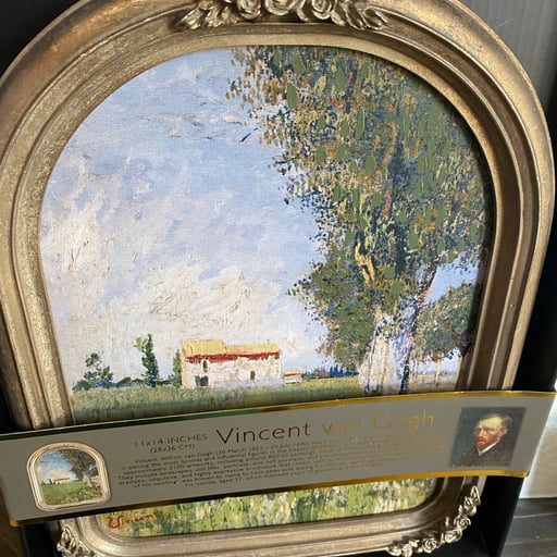 Vincent Van Gogh Framed Wall Art Print TikTok Viral, New