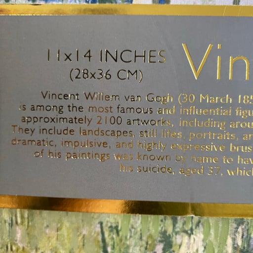 Vincent Van Gogh Framed Wall Art Print TikTok Viral, New