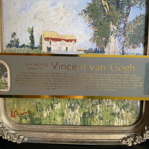 Vincent Van Gogh Framed Wall Art Print TikTok Viral, New