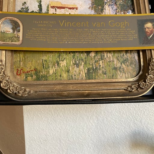 Vincent Van Gogh Framed Wall Art Print TikTok Viral, New