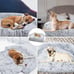 POOCH-LABS Dark Gray Washable Plush Dog Bed Sofa (90x80x20cm)