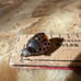 Ladybug Amber Pin