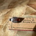 Ladybug Amber Pin