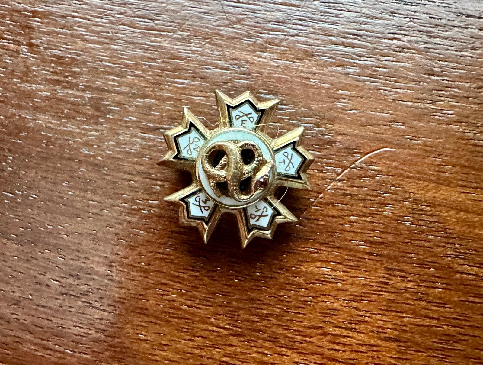 Vintage Antique Sigma Nu Fraternity 10k Yellow Gold Enamel Snake Lapel Pin