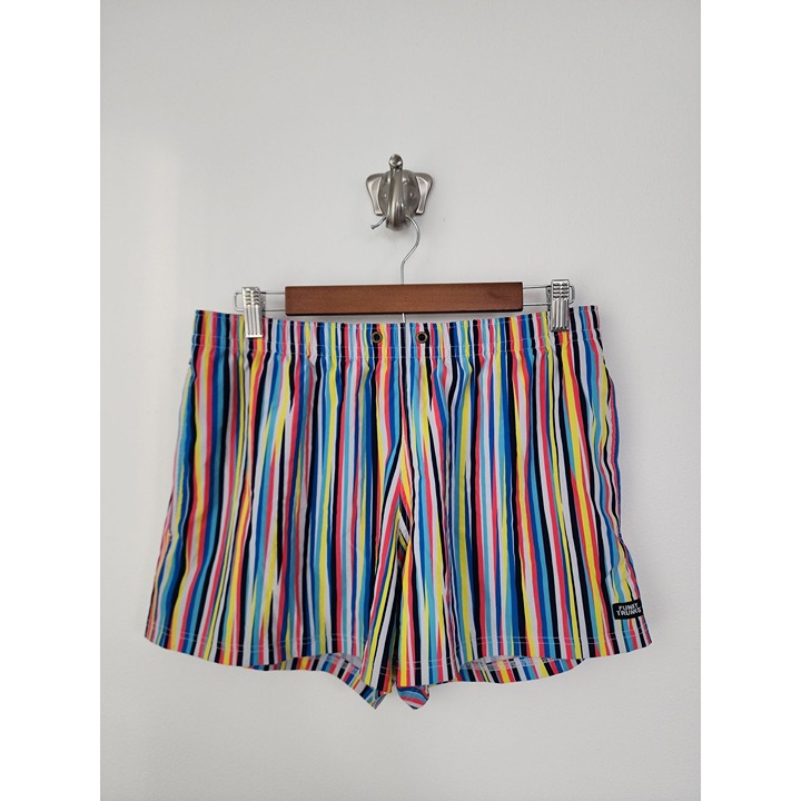 Funky Trunks multicolor stripe water shorts L