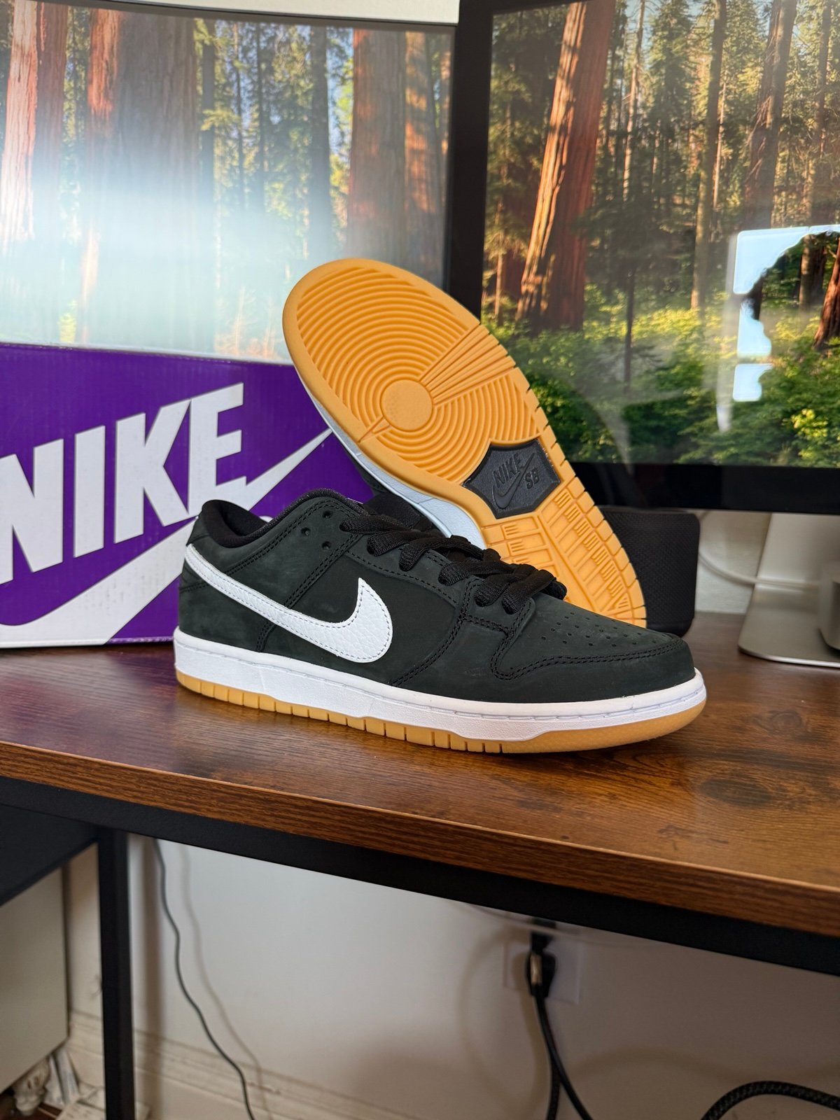 Nike Dunk low SB black gum