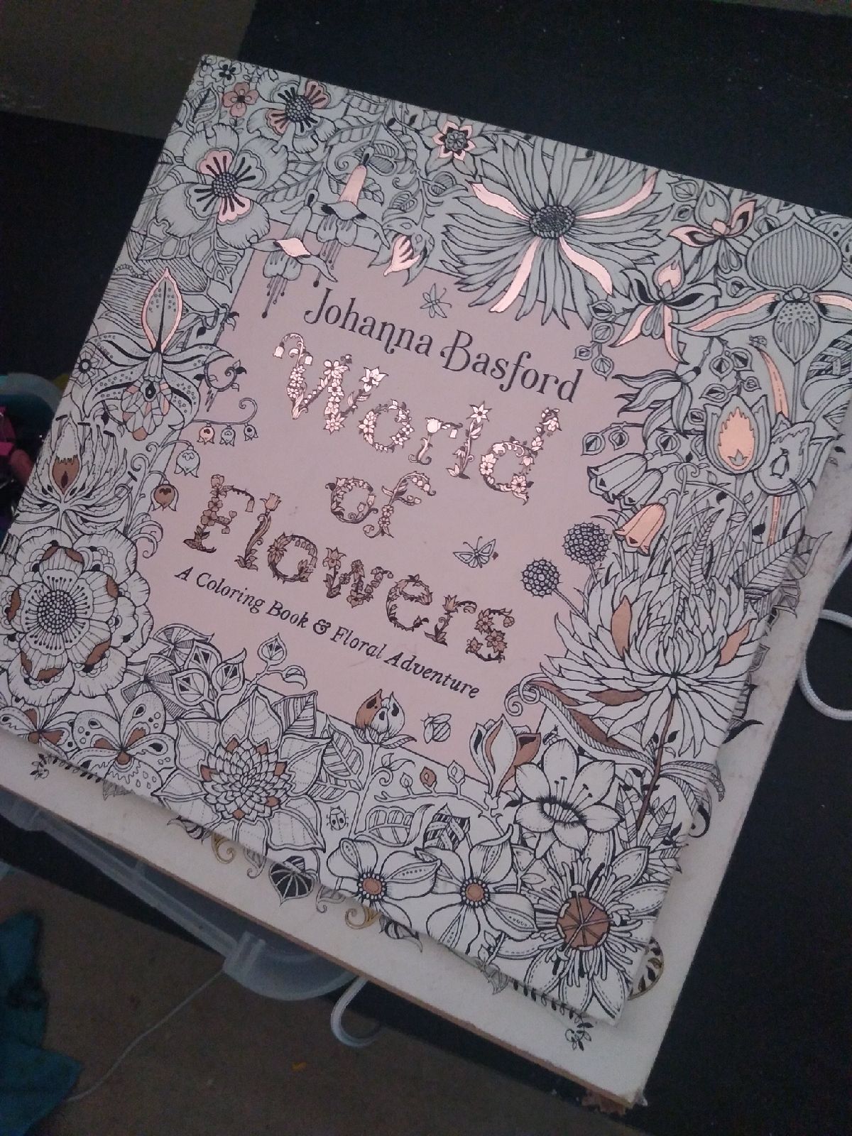 adult coloring book