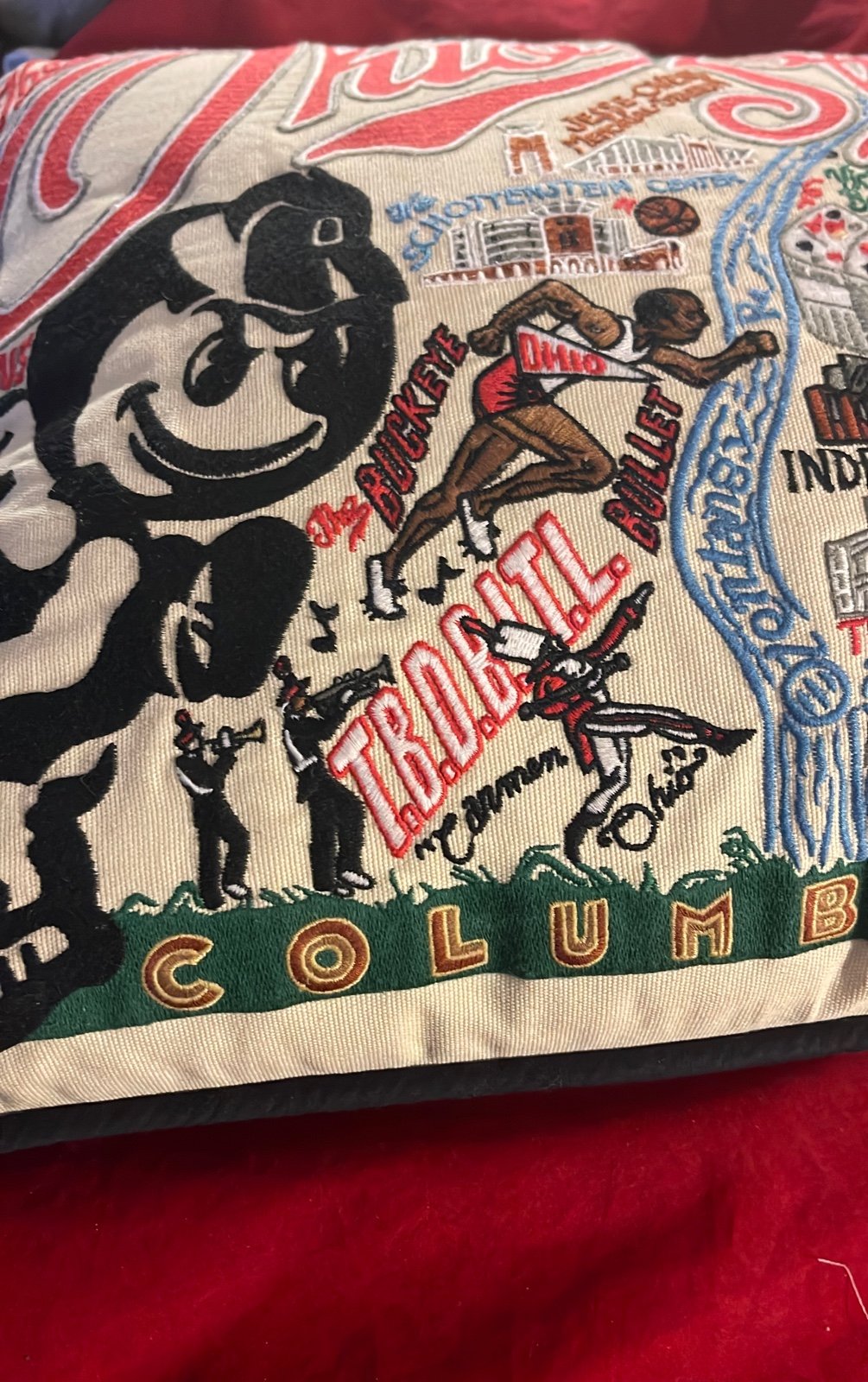 Ohio State Pillow
