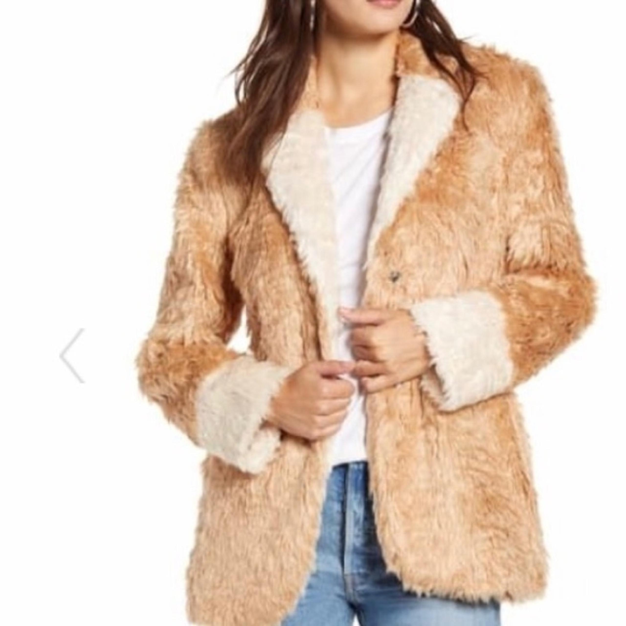 Mural Faux Fur Teddy Coat