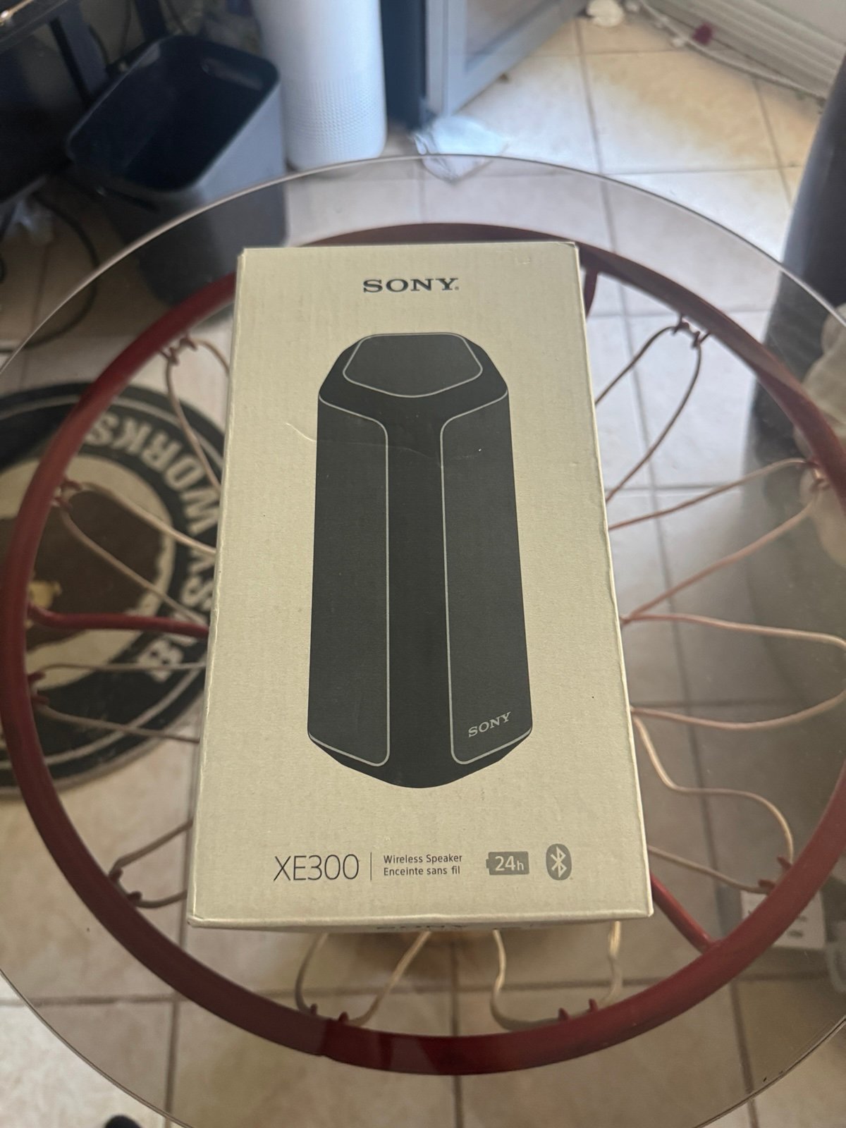 SONY XE300