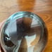 Vintage Glass Ball Paperweight