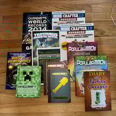 Lot of 10 Minecraft Books