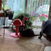 Cat Scratching Post, Pink Cat Scratcher Tree,