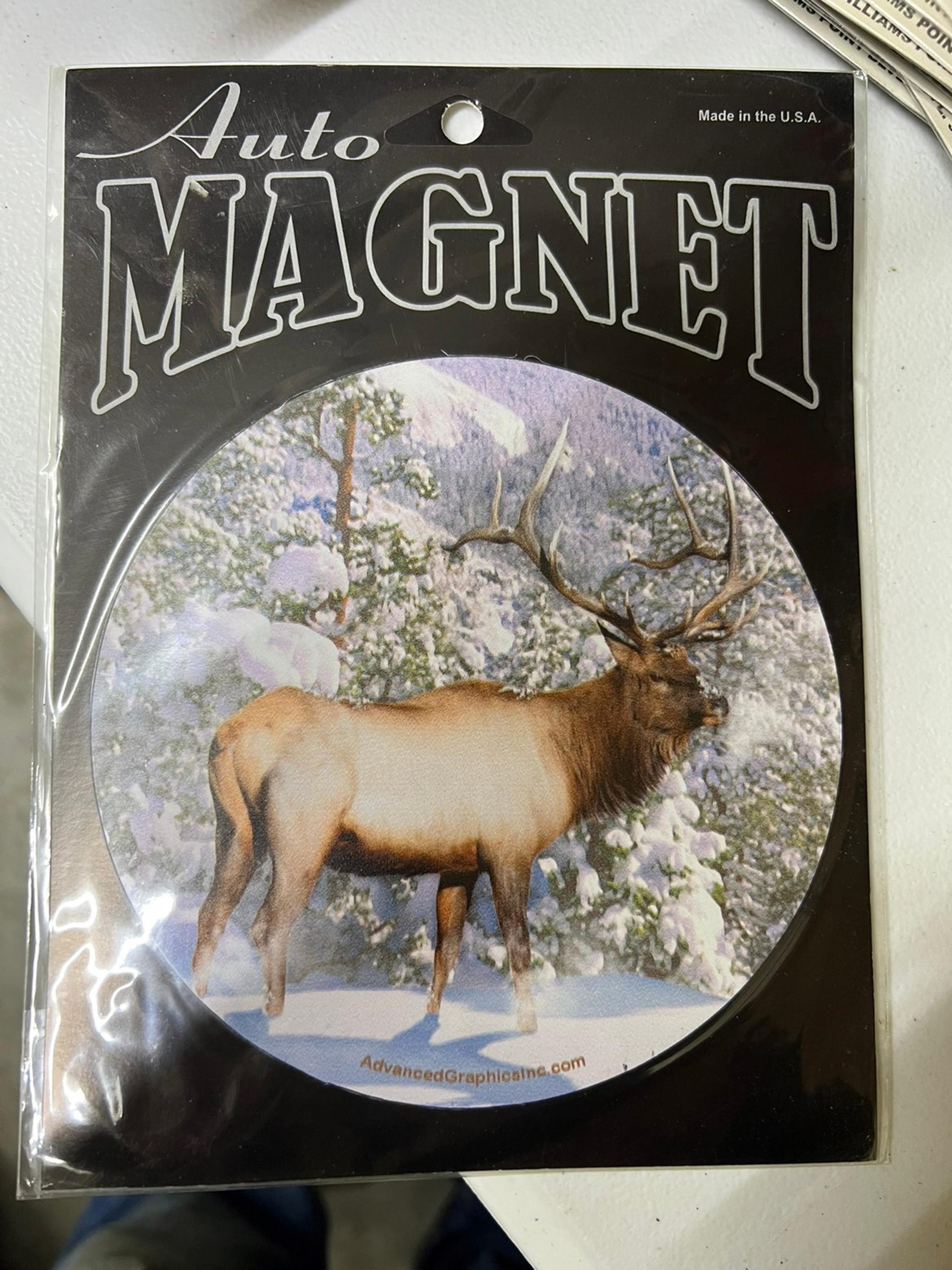 Magnet