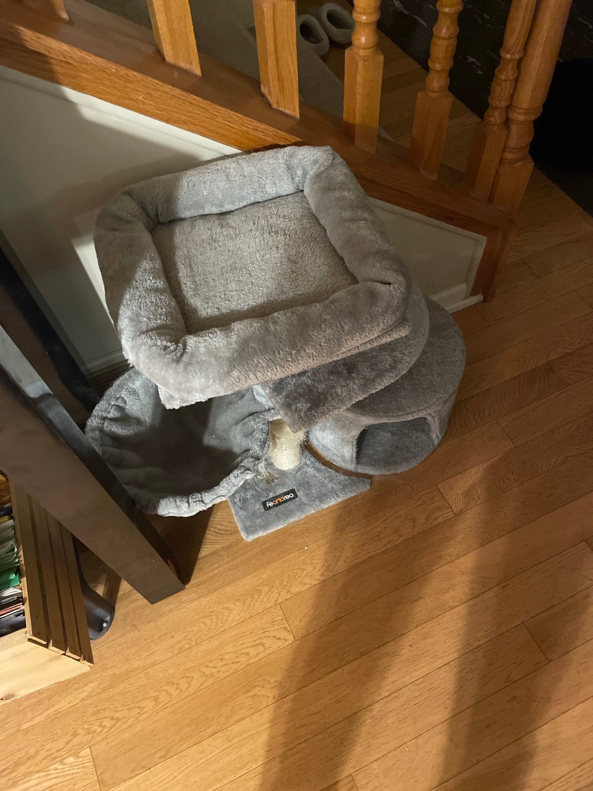 cat trees