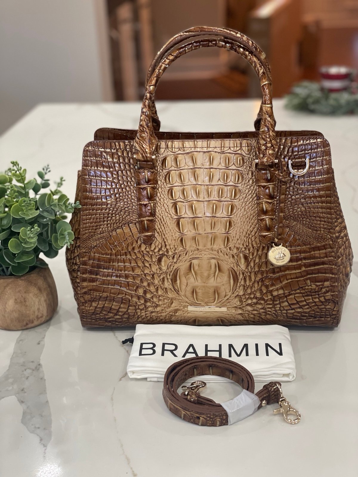 Brahmin’s Small Finley in teak