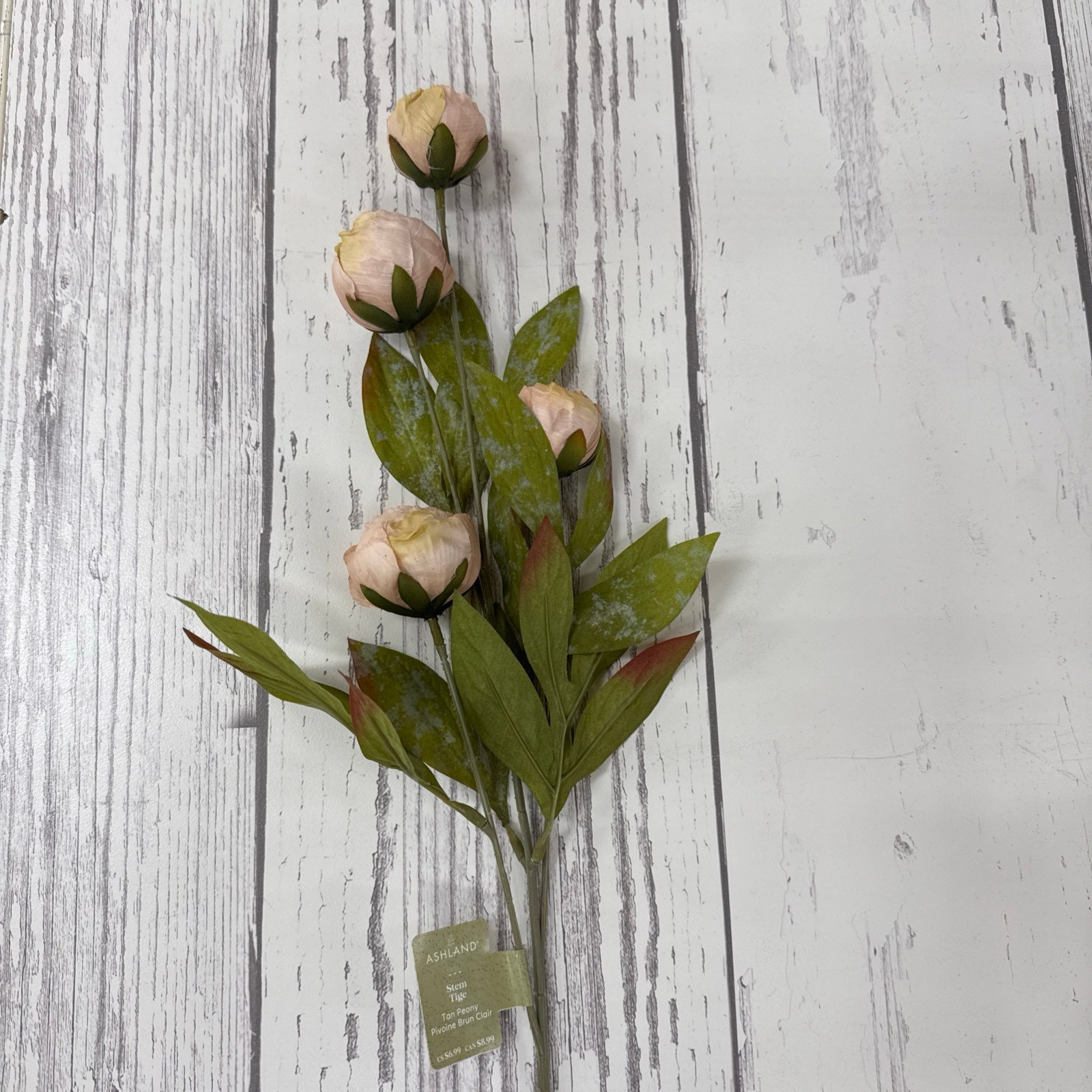 Ashland Tan Faux Peony Stems - Set of 8
