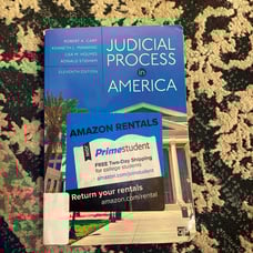 Judicial Process in America by Kenneth L. Manning, Robert A. Carp, Lisa M