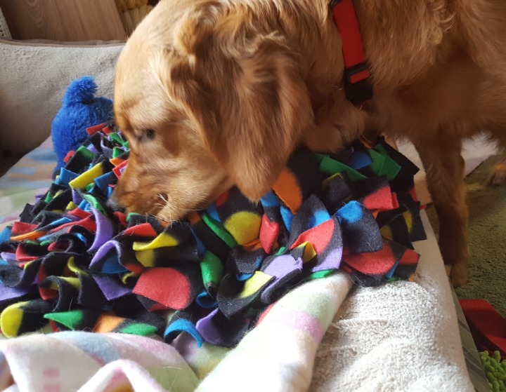 Muzzle Snufflez - Canine Kibble Snuffle