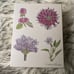NEW Crabtree & Evelyn Rosewater Set