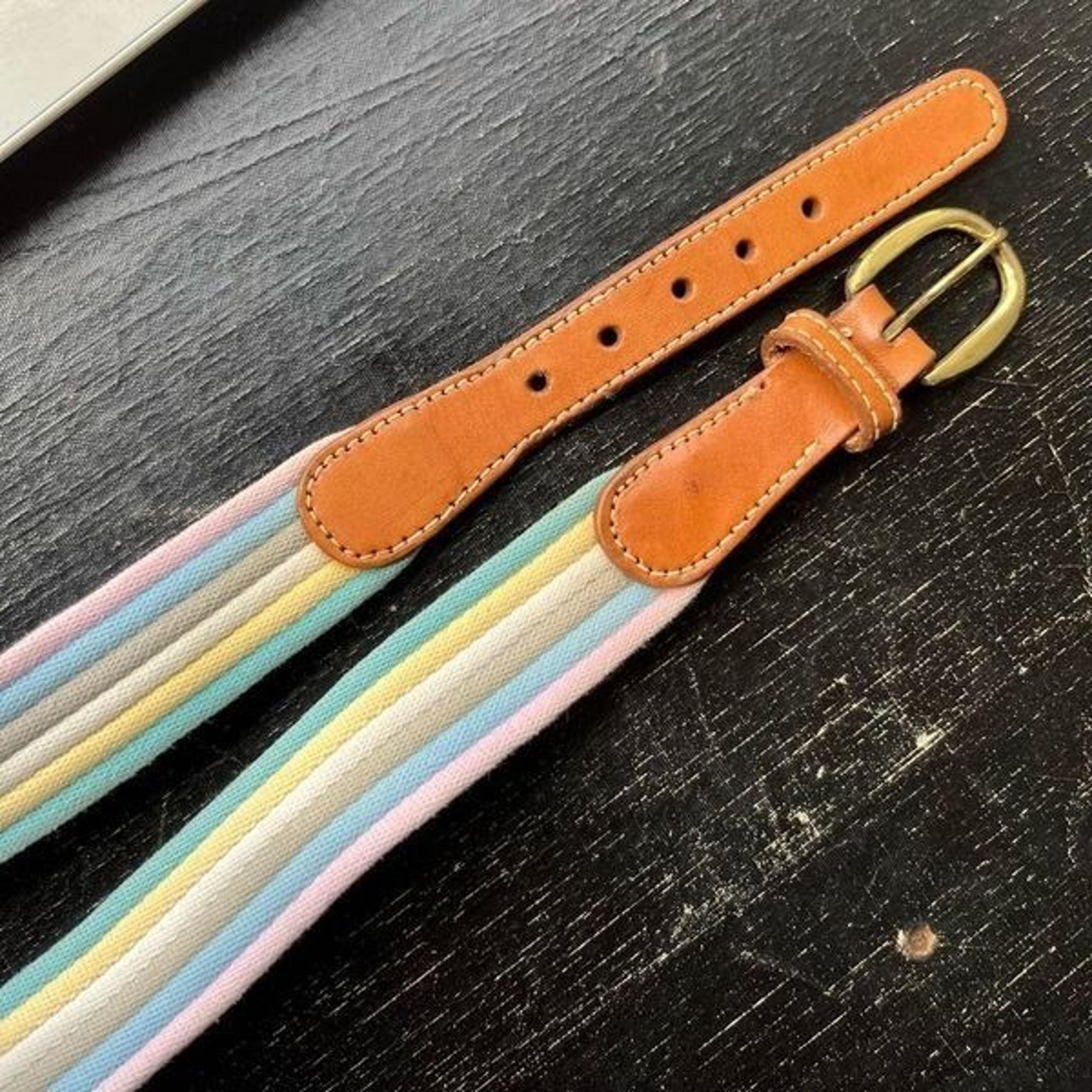 Canterbury Pastel Stripe Canvas Belt Leather & Brass Buckle Size 38