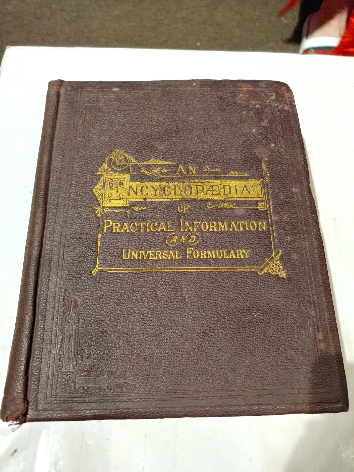 1889 ENCYCLOPAEDIA OF PRACTICAL INFORMATION by ROBERT BRADBURY, M.D. Pages Compl