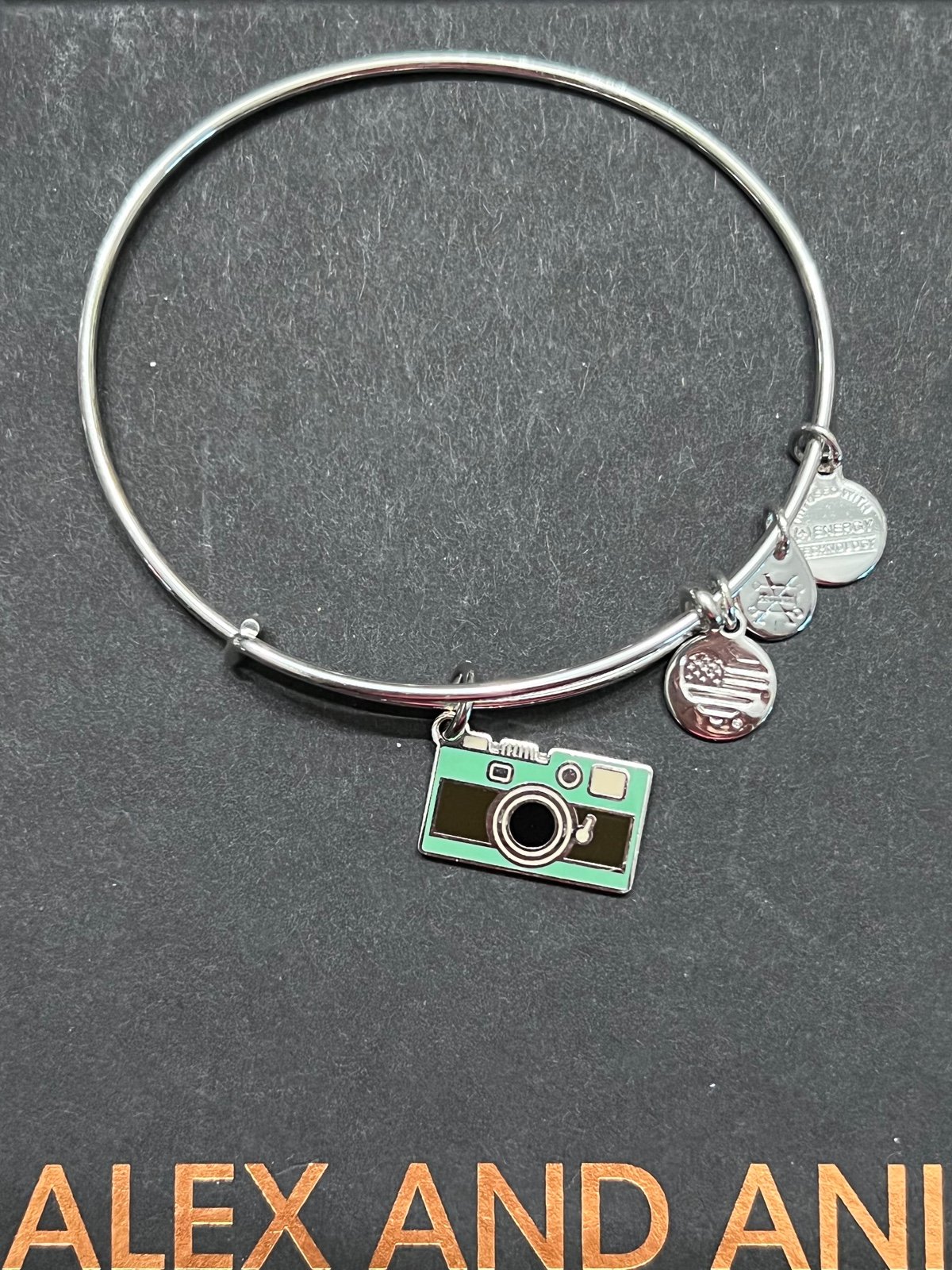 HTF NWOT Alex and Ani Camera Bracelet